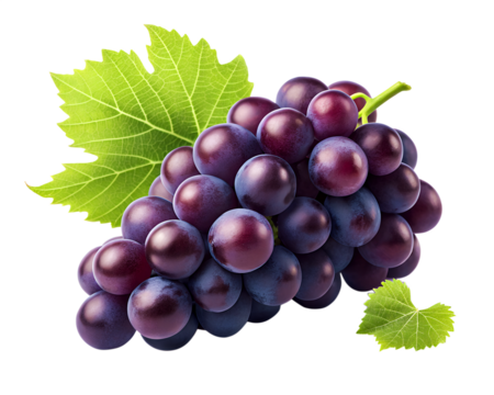 Purple grape on white background, Kyoho Grape with leaves on white PNG file.