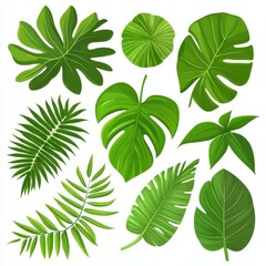 Lush tropical plants thrive indoors, adding a vibrant touch to any space with their striking green leaves.
