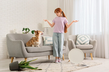 Teenage redhead girl with Corgi dog and overturned things on carpet at home