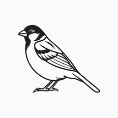 Obraz premium house sparrow bird silhouette vector