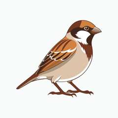 house sparrow bird silhouette vector