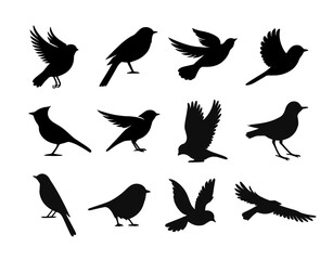 Vector birds silhouette fly sparrow icon. Animal dove bird silhouette raven feather perch cardinal black icons