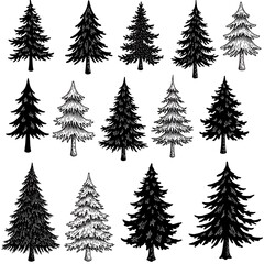 Obraz premium Hand-Drawn Evergreen Collection: Ink & Shading Variety AI Generated