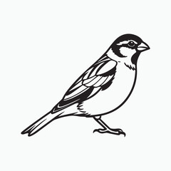 house sparrow bird silhouette vector
