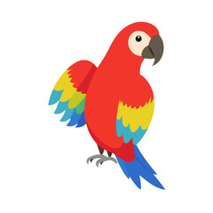 Parrot: The Colorful Birds of the Tropics