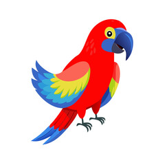 Parrot: The Colorful Birds of the Tropics