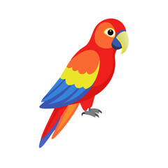 Parrot: The Colorful Birds of the Tropics