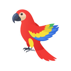 Parrot: The Colorful Birds of the Tropics