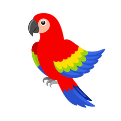Parrot: The Colorful Birds of the Tropics