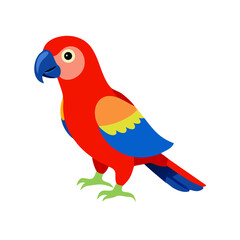 Parrot: The Colorful Birds of the Tropics