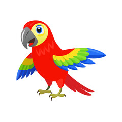 Parrot: The Colorful Birds of the Tropics