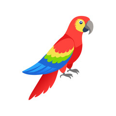 Parrot: The Colorful Birds of the Tropics
