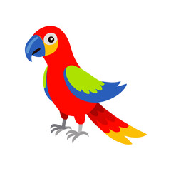 Parrot: The Colorful Birds of the Tropics