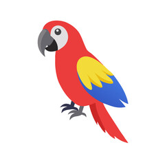 Parrot: The Colorful Birds of the Tropics