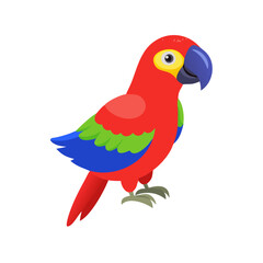 Parrot: The Colorful Birds of the Tropics