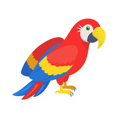 Parrot: The Colorful Birds of the Tropics