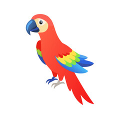 Parrot: The Colorful Birds of the Tropics