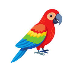 Parrot: The Colorful Birds of the Tropics