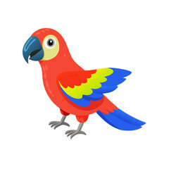 Parrot: The Colorful Birds of the Tropics