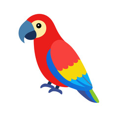 Parrot: The Colorful Birds of the Tropics