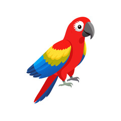 Parrot: The Colorful Birds of the Tropics