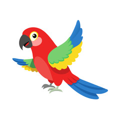 Parrot: The Colorful Birds of the Tropics