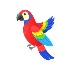 Parrot: The Colorful Birds of the Tropics
