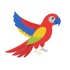 Parrot: The Colorful Birds of the Tropics