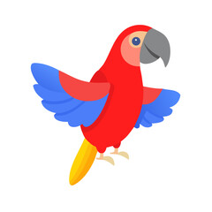 Parrot: The Colorful Birds of the Tropics