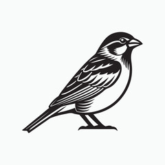 Fototapeta premium house sparrow bird silhouette vector