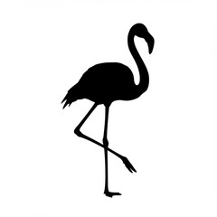 Flamingo silhouette standing tall on white background