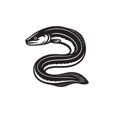 Obraz premium eel