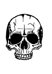 crane tattoo tete de mort tatouage dessin old school vintage halloween