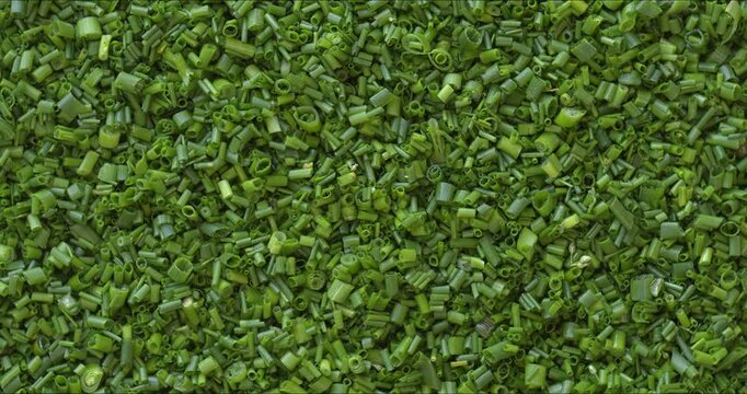 Top view of chopped chives as a food background texture. Table spin, flat lay. 