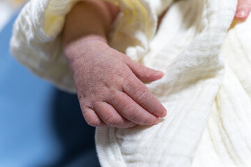 しわしわの生まれたばかりの赤ちゃんの手