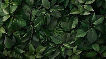 Obraz premium Nature Elements: A background featuring lush green leaves and natural elements, perfect for eco-friendly or organic products. 
