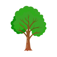 Tree: The Natural Giant and Oxygen Provider