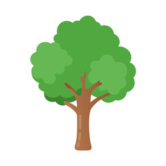 Tree: The Natural Giant and Oxygen Provider