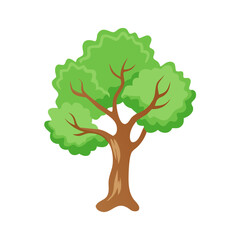 Tree: The Natural Giant and Oxygen Provider