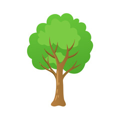 Tree: The Natural Giant and Oxygen Provider