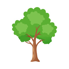 Tree: The Natural Giant and Oxygen Provider