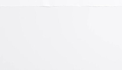 Obraz premium Clean background with torn edge creating a modern minimalist design element