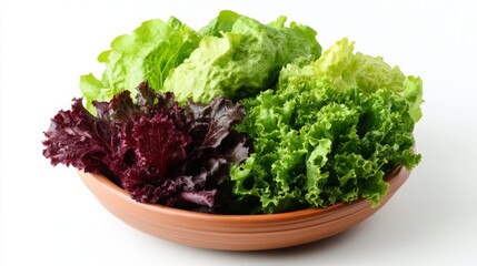 Various types of fresh lettuce arranged in a bowl with vibrant colors and textures for healthy meals