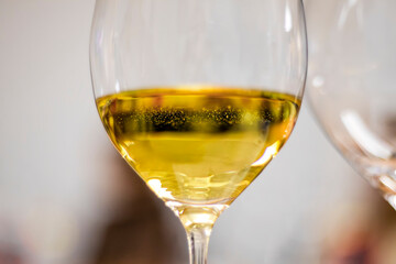 Glass of chardonnay wine reflecting light on a blurred background