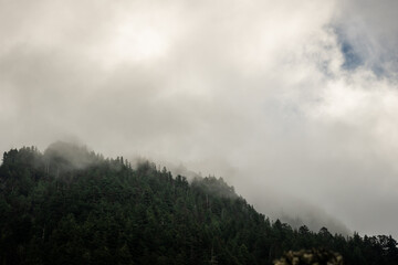 Thick Clouds Hang Low Over Mount Rainier