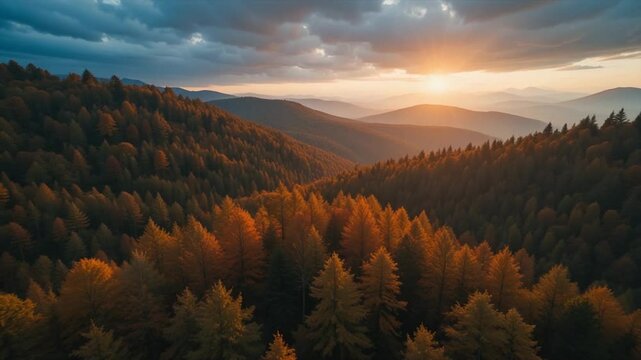 Blurred landscape sunrise sunset outdoor nature view abstract photography