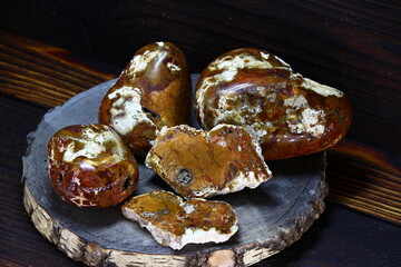 Set of polished flints colored with iron oxides in red and yellow, central Russia