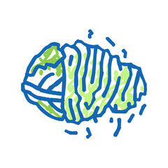 Fototapeta premium chopped cabbage icon doodle illustration