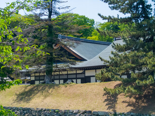 彦根城の内堀と彦根城博物館の見える景色