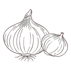 Detailed Engraved Vector Illustration of Two Onions With Precise Lines and Shapes Highlighting Their Natural Features Generative AI